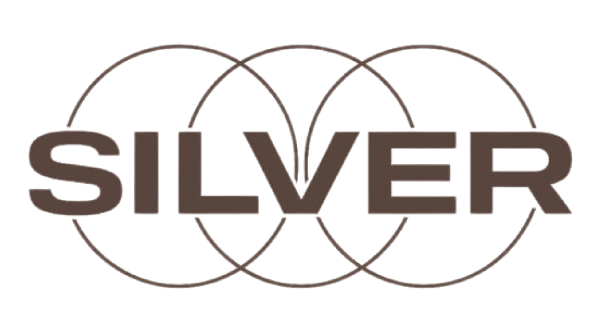 Silver Logo